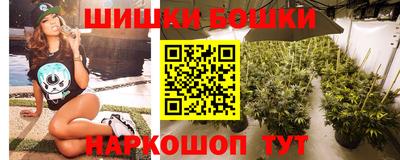СК Кингисепп