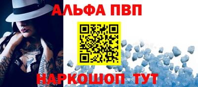 СК Кингисепп