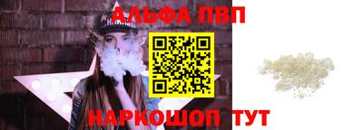 СК Кингисепп